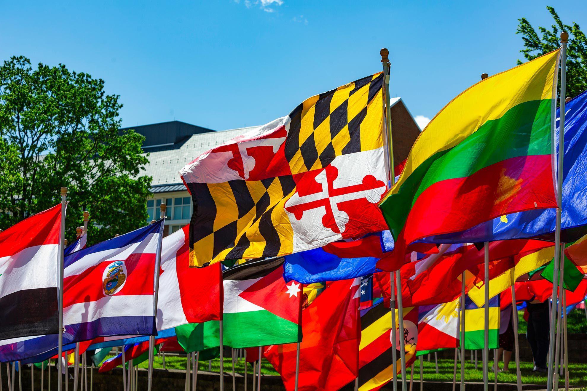 The Maryland flag standing among a collection of country flags in a strong wind presenting their diverse colors in front of a bright blue sky